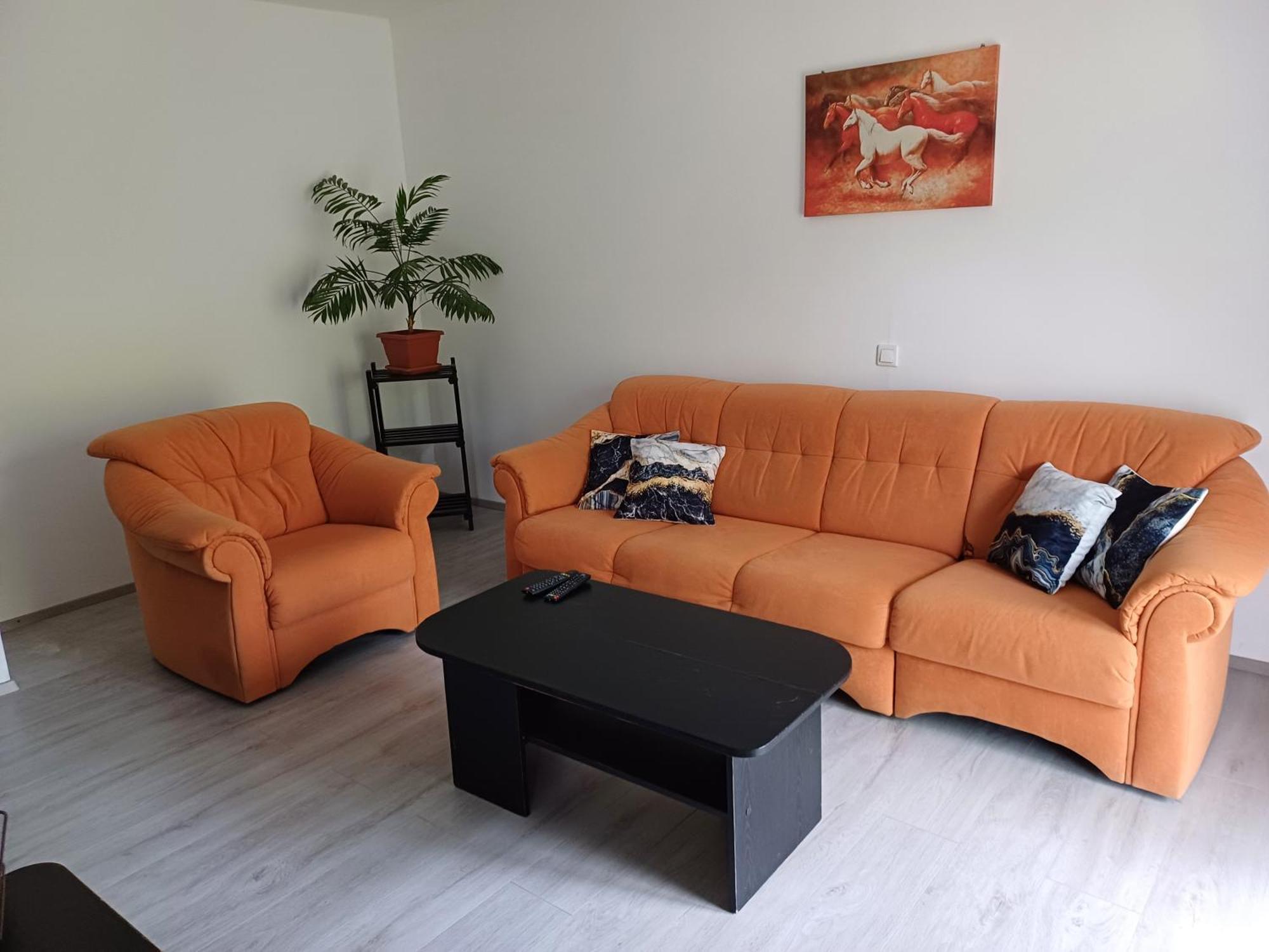 Apartma Ginga Osilnica Kültér fotó